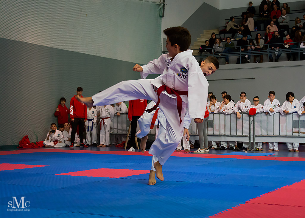COPA SEUL, 2017  (15).JPG